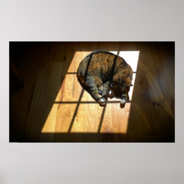 Slow Days, Poster (Front)