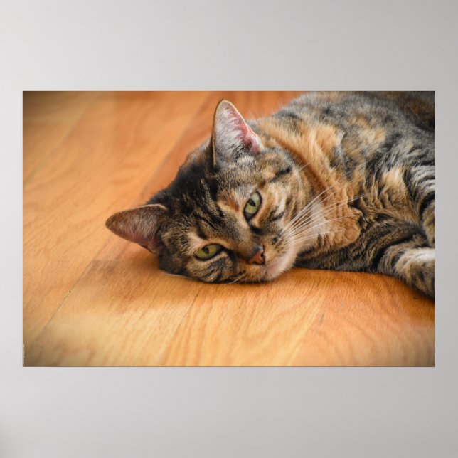 Slow Days, Poster (Front)