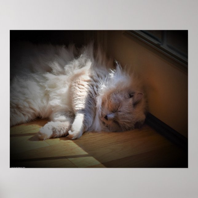 Slow Days, Poster (Front)