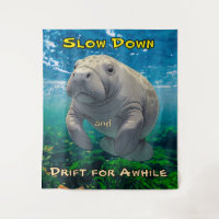 Slow Down and Drift for Manatee Inspired