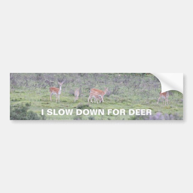 Slow down for deer bumper sticker (Front)