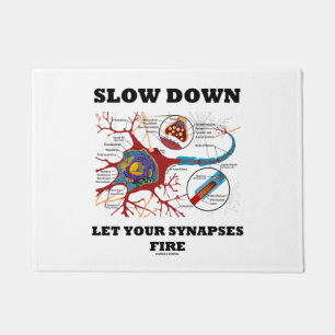 Slow Down Let Your Synapses Fire Neuropsychology Doormat