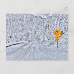 Slow Going Postcard
