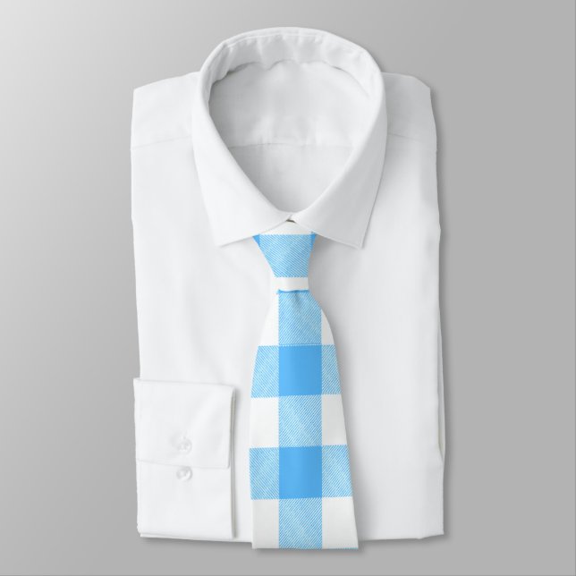 Slow-Living Summer Sky Plaid Tie (Tied)
