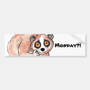 Slow Loris Bumper Sticker