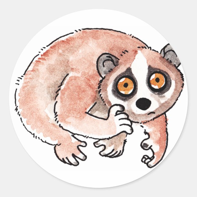Slow Loris Stickers (Front)