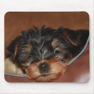 Slow Wink Closeup Mouse Pad