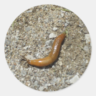 Slug Classic Round Sticker