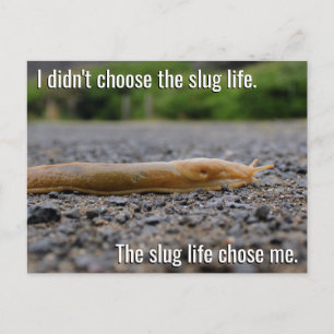 Slug Life Postcard