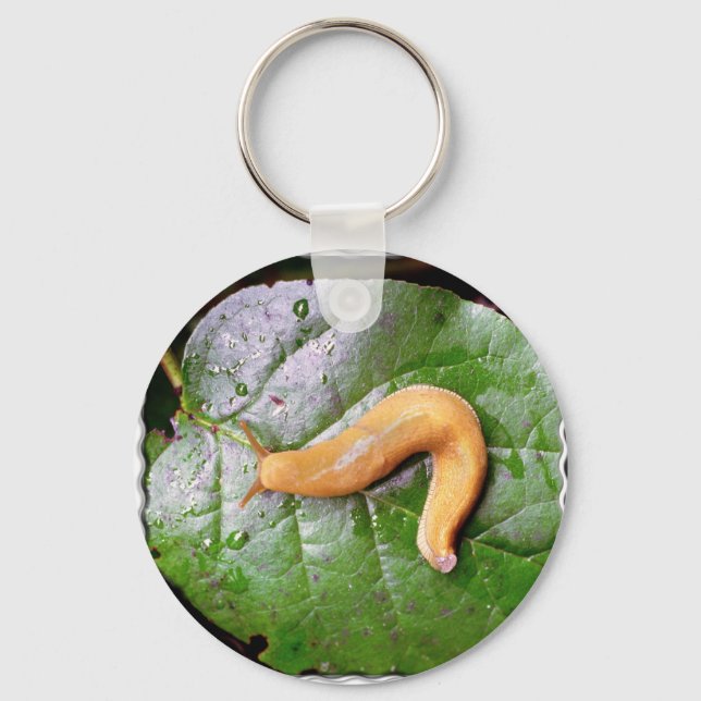 Slug on Leaf Keychain (Front)