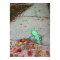 sluggo the lazy leaf-raker