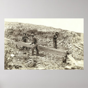 SLUICE BOX GOLD MINING c. 1889 Poster