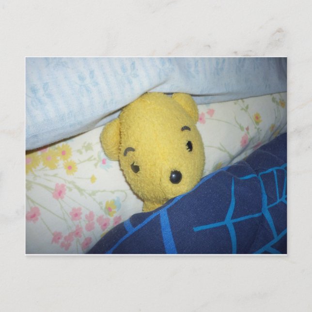 Slumbering Teddy Postcard (Front)
