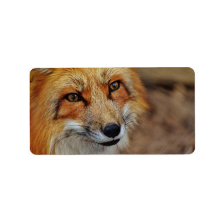 Sly Fox Label