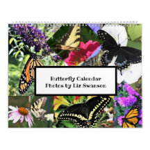 Sm, Med, Lg Calendars - Butterflies