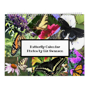 Sm, Med, Lg Calendars - Butterflies