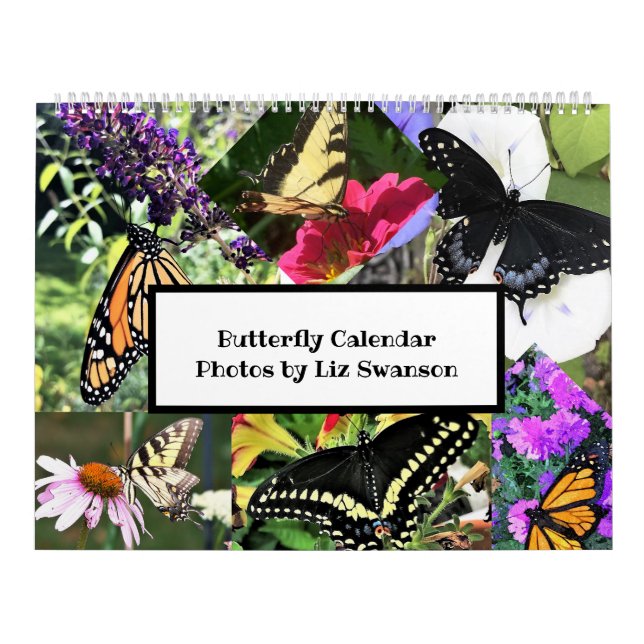 Sm, Med, Lg Calendars - Butterflies (Cover)