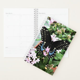 Sm Planner Black Swallowtail