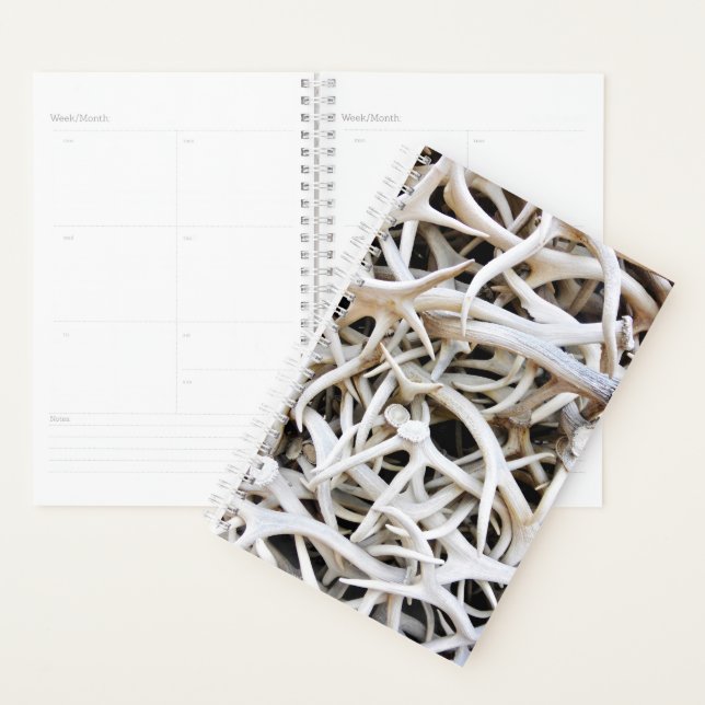 Sm Planner Elk Antlers (Display)