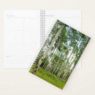 Sm Planner Quaking Aspens @ Yellowstone