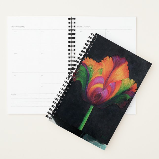 Sm Planner Rainbow Parrot Tulip (Display)
