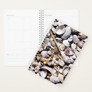 Sm Planner Seashells