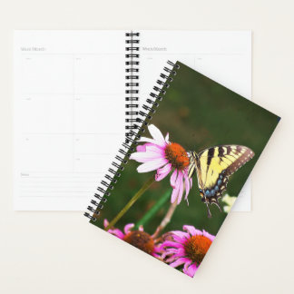Sm Planner Tiger Swallowtail on Coneflower