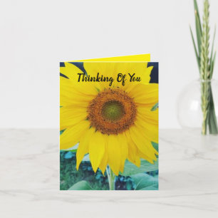 Small, 4" x 5.6" Folded Greeting Card