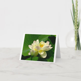 Small, 4" x 5.6" Folded Greeting Card