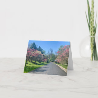 Small, 4" x 5.6" Folded greeting Card