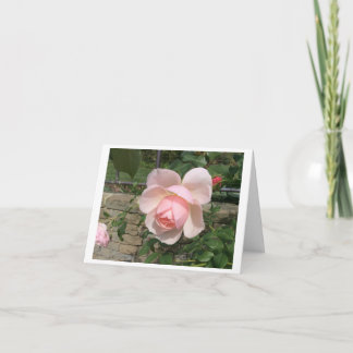 Small, 4" x 5.6" Folded Greeting Card