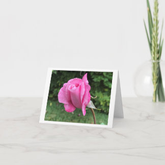 Small, 4" x 5.6" Folded Greeting Card