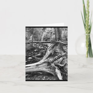 Small, 4" x 5.6" Folded Greeting Card