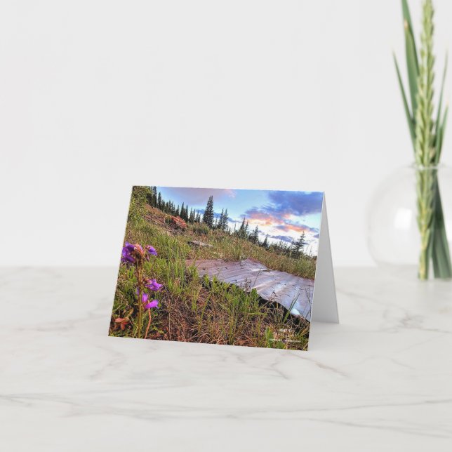 Small, 4" x 5.6" Folded Note Card (Front)