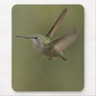 Small and mighty hummingbird mouse pad