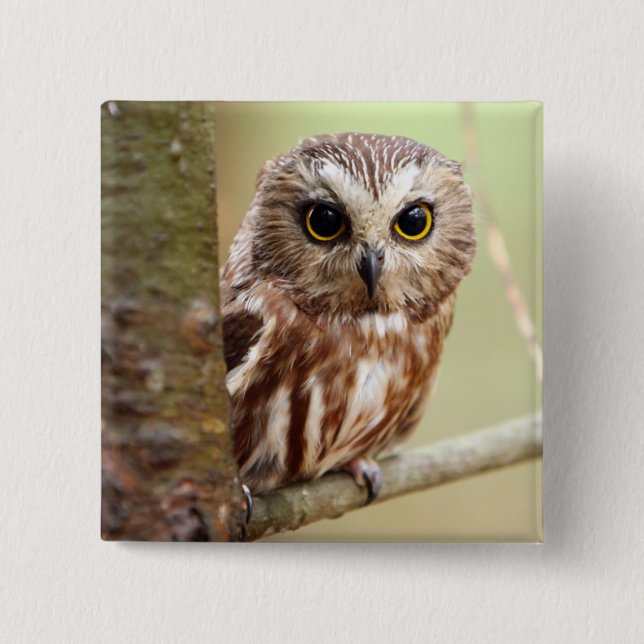 Small Baby Owl | Ontarios 15 Cm Square Badge (Front)