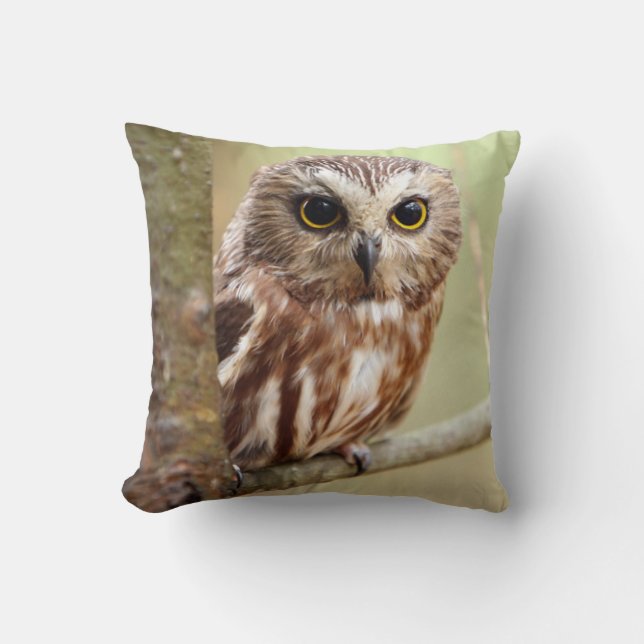 Small Baby Owl | Ontarios Cushion (Front)