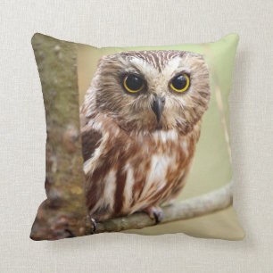 Small Baby Owl   Ontarios Cushion