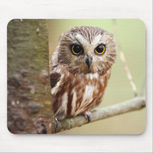 Small Baby Owl   Ontarios Mouse Pad