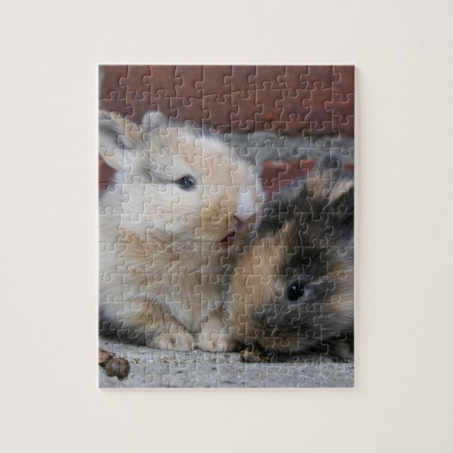 SMALL BABY RABBITS JIGSAW PUZZLE (Vertical)