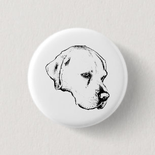 Small badge of poise