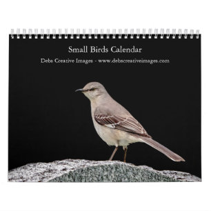 Small bird (songbird) 2025 calendar
