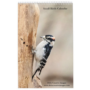 Small Birds 2025 Calendar