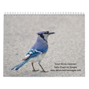 Small Birds 2026 Calendar