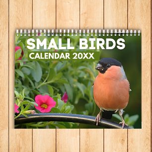 Small Birds Calendar 2024