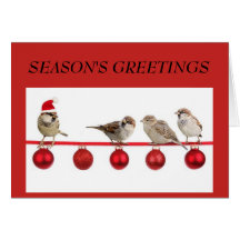 Small Birds on Red Christmas Greeting Card