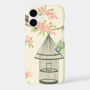 Small Birds Perched on a Branch and on a Birdcage