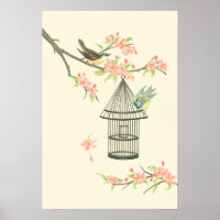 Small Birds Perched on a Branch and on a Birdcage