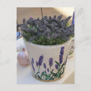 Small bouquets of lavender postcard
