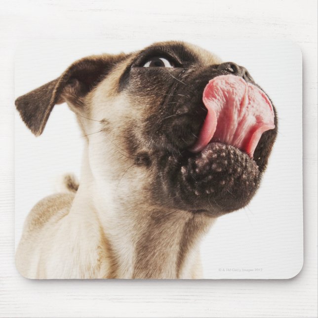 Small Breed of Dog with Short Muzzled Face Mouse Pad (Front)